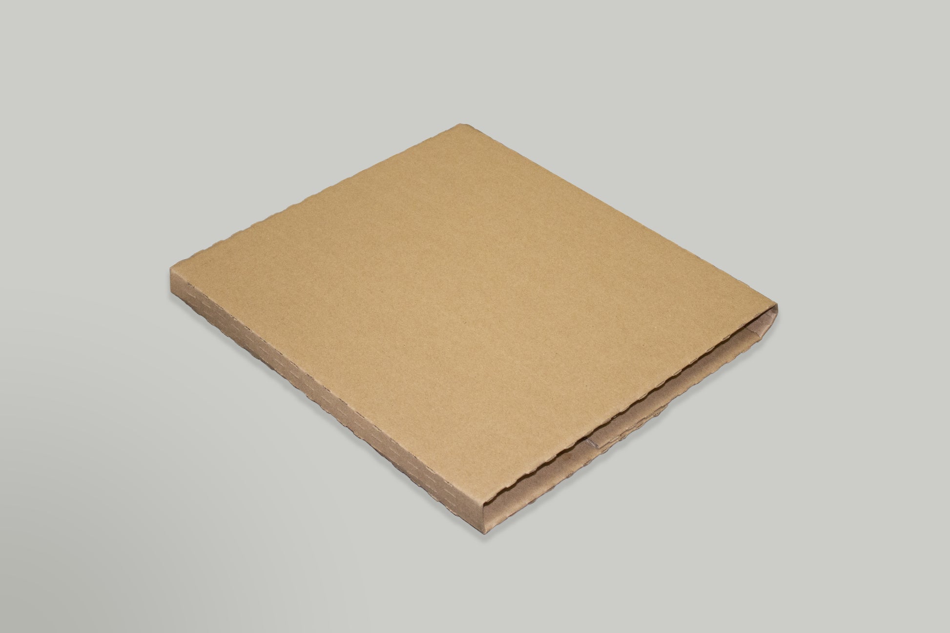 V03 Lite Whiplash LP Mailer